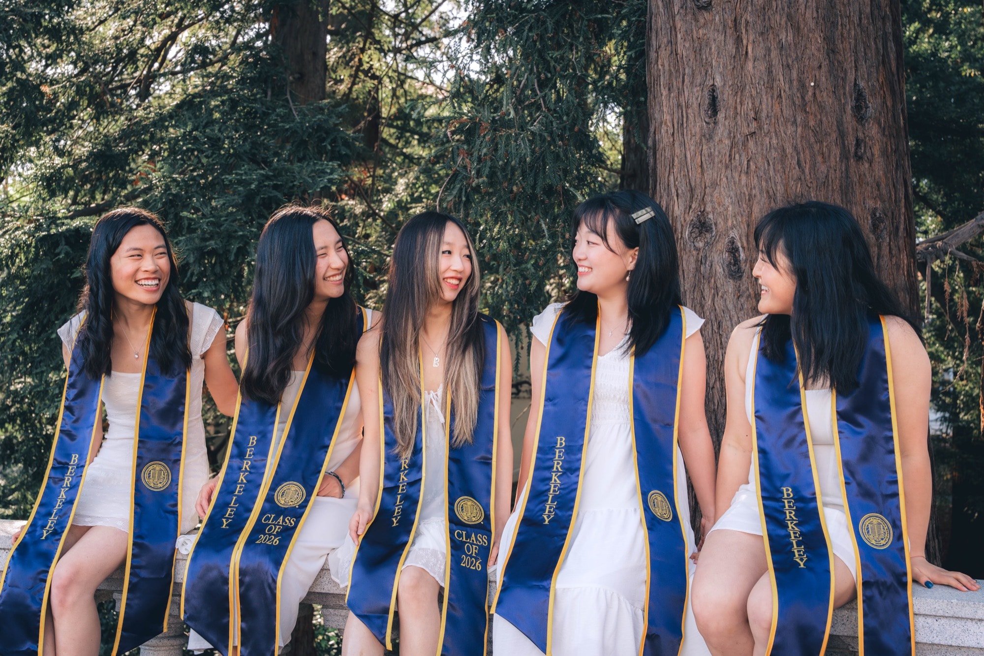Five graduates in white laughing together beside a redwood